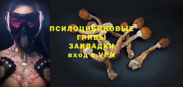 ГАЛЛЮЦИНОГЕННЫЕ ГРИБЫ Новокубанск
