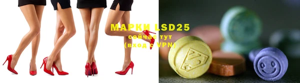 индика Нефтегорск