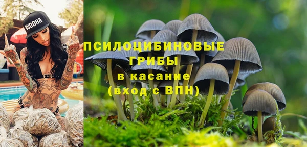 ГАЛЛЮЦИНОГЕННЫЕ ГРИБЫ Новокубанск