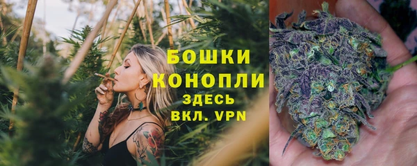 дурь Новозыбков