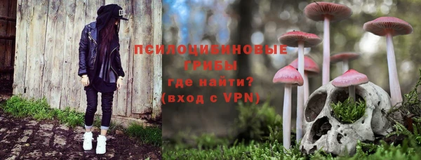 ГАЛЛЮЦИНОГЕННЫЕ ГРИБЫ Новокубанск